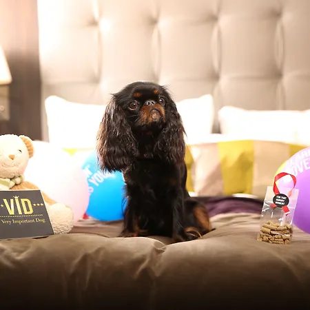 Hotel Clarion Airport 4*